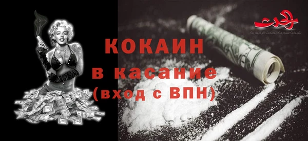 твердый Протвино