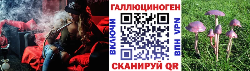 Псилоцибиновые грибы MAGIC MUSHROOMS  даркнет сайт  Ивантеевка 